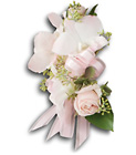 Beautiful Blush Corsage from Olney's Flowers of Rome in Rome, NY